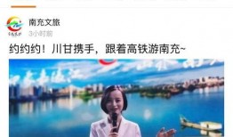 南充企业爆料事件视频,揭秘背后真相与争议